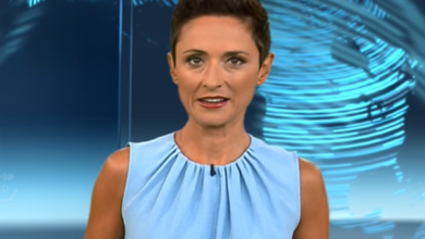 nazan gökdemir