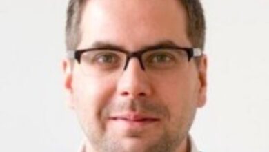 Michael Stein